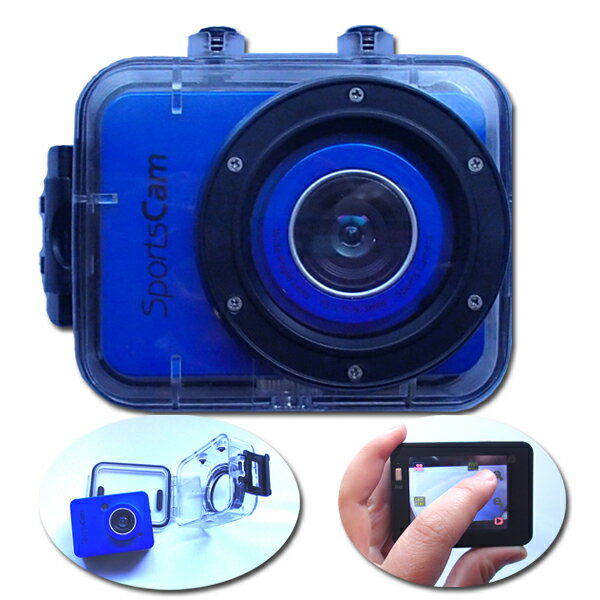 �ڥ��å��ѥͥ���ܡ��ۥ��ݡ��ĥ���顡��������󥫥��