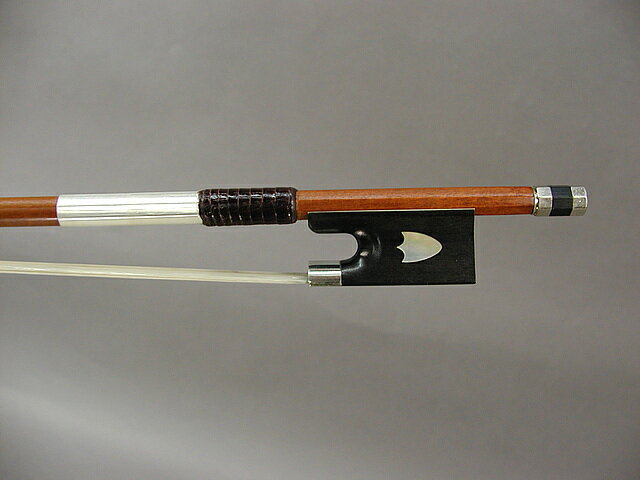 フェルナンブコ　マスターボー トルテ　モデル