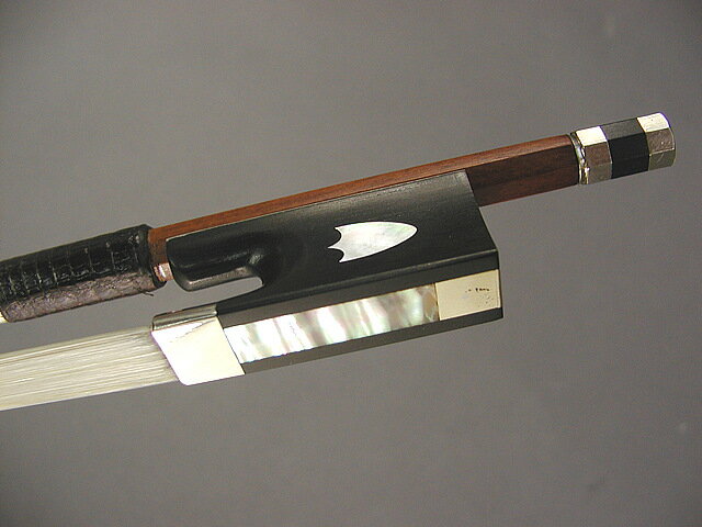 フェルナンブコ　マスターボー トルテ　モデル