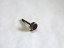 #10102 ͥꥢ ͥ(塼Τ) Adjuster Screw with GEM STONE for Wittner 902/904꡼