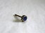 #10105 饤 ͥ(塼Τ) Adjuster Screw with GEM STONE for Wittner 902/904꡼