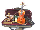 Luthier Violin Set #07 1/4 Guarneri model