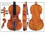 Guarneri 'del Gesu' 'Alard' violin 1742 (Х ݥ)