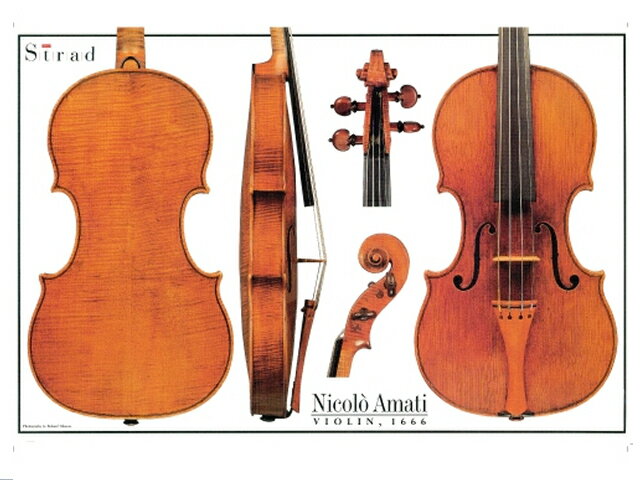 Nicolo Amati violin 1666 (バイオリン ポスター)