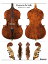 Gasparo da Salò double bass 1550 (ȥХ ݥ)