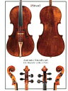 De Munck' Stradivari Cello 1730 68cm　X　84cm This well-presented cello played by Emanuel Feuermann and Steven Isserlis is striking for the originality that created a new cello form. It is currently on loan to Danjulo Ishizaka. 'The marvellous "de Munck" is striking in the originality of its slender form. The dominant feature is the large centre bouts, which curve in as deeply as those of the larger B form and are in fact slightly longer' ? John Dilworth in the June 2000 issue of The Strad *裏面に当楽器の詳細なデータ、graduation map,parts等が掲載。