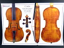 Carlo Giuseppe Testore violin 1703 42cm x 62cm メール便(定形外普通郵便)の送料は350円〜です。 This fine-sounding Milanese violin, with a one-piece belly and imitation purfling, is still in excellent condition. Includes measurements ‘The ribs of the top and bottom bouts were both formed from two pieces. This would have been extraordinary in Cremona but it was a common event in Milan. The makers there also often employed two-piece neck-blocks, rather than the one-piece ribs used in Cremona, to counter the problems caused by the neck-block being split by nails when the neck was attached to the ribs’ ? Roger Hargrave in the June 2004 issue of The Strad *裏面に当楽器の詳細なデータ、graduation map,parts等が掲載。