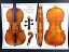 Carlo Giuseppe Testore violin 1703 (Х ݥ)