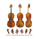 訳あり品 Antonio Stradivari "Benecke" violin 1694