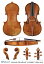 Antonio Stradivari 'Archinto' viola 1696 (ӥ ݥ)