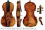 Kochanski' Guarneri 'del Gesù' violin 1741 (Х ݥ)