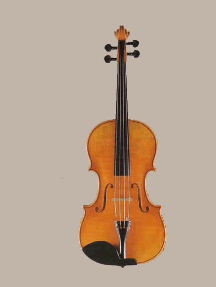 鈴木ビオラ エターナル SUZUKI Viola No.142 Eternal