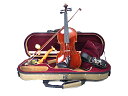 Drexcell Violin 3/4 No.100 -All Ebony #2