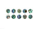 Mother of Pearl Eyes (Abalone Eye) Paua 10piece set 装飾用 貝 10個セット