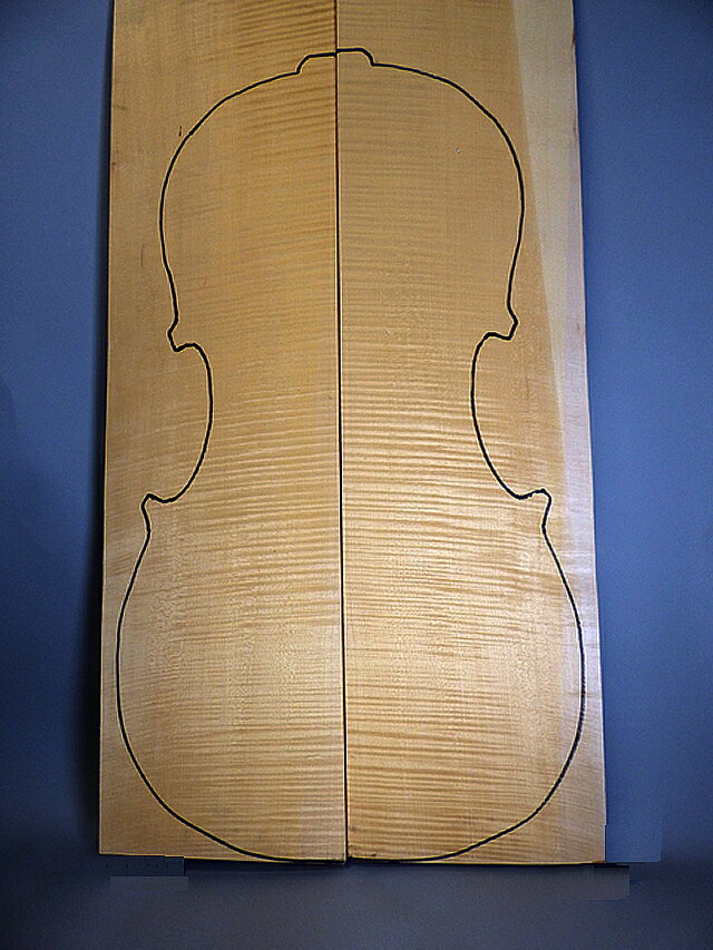 AAA　Cello　Back Tonewood　Flamed Maple *　当製品はポーランド・ワルシャワのトーンウッド 　　専門商社からの直輸入品です。