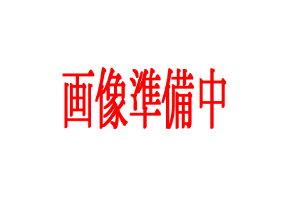 お取り寄せ品の為、発送までにお時間を頂く場合も御座います。 鈴木バイオリン弓 品番 No.1051 定価(税別) ￥50,000 スティック ヘルナンブーコ フロッグ エボニー 金具 洋銀 サイズ・備考 4/4-1/4 1/4サイズ以上の弓は、サイズ制限の為宅配便での発送となります。