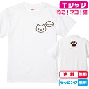 楽天ソコラタねこTシャツ もっとお魚！猫+背面肉球プリントTシャツ 猫デザイン　Tシャツカラー全3色　綿Tシャツ キッズサイズ　レディースサイズ　男女兼用サイズ プレゼント