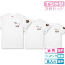 名入れ無料 犬デザインTシャツ 3枚セットダックスフンドTシャツ カラー全6種類 綿Tシャツ かわいい犬Tシャツ かわいいtシャツ わんこTシャツ 親子Tシャツ ペアコーデ おそろいTシャツ まとめ買いTシャツ 親子ペアルック 親子ペアtシャツ 親子コーデ