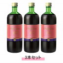 ファストザイムイオ 720ml 【3本セット】【送料無料】
