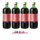 ファストザイムイオ 720ml 【4本セット】【送料無料】