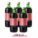 ファストザイムイオ 720ml 【5本セット】【送料無料】