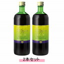 ファストザイム スリム 720ml 【2本セット】【送料無料】