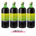 ファストザイム スリム 720ml 【4本セット】【送料無料】