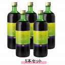 ファストザイム スリム 720ml 【5本セット】【送料無料】