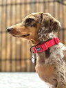 【最大100%ポイントバック!要エントリー】犬 トートバッグ 可愛い おしゃれバック カバン dogisgood ネヴァーガーデンアローン