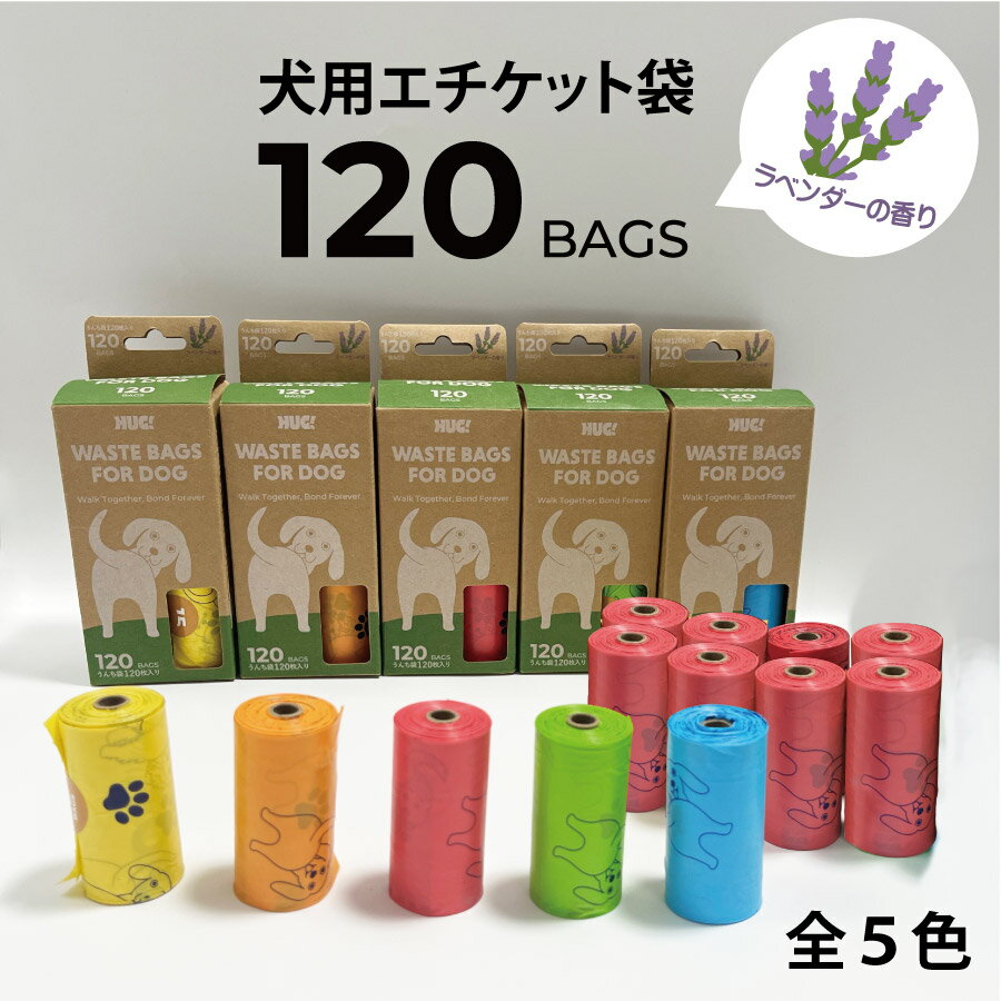 ϥ(HUG!)ڸ  դ  Хå ե ɥå 158(120) ٥ι