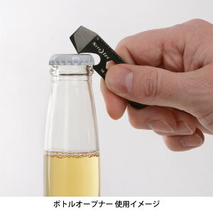 キーアクセサリー キーホルダー マルチツール DIY 栓抜き NITEIZE ナイトアイズ ドゥーヒッキー NI03037 NI02847 全2色【メール便対応可】【日本正規品】通販格安セール情報 楽天 通販