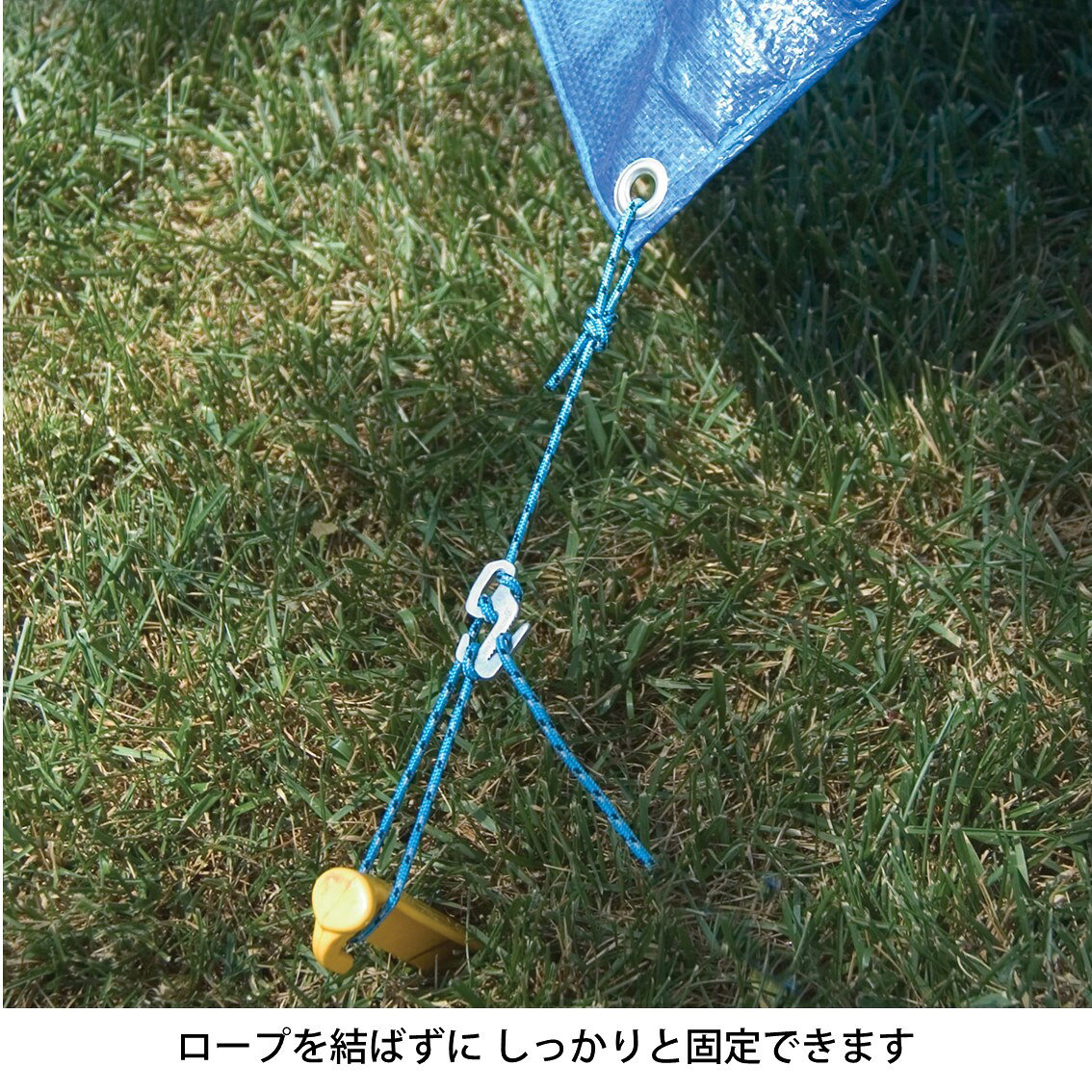 サンプル画像2