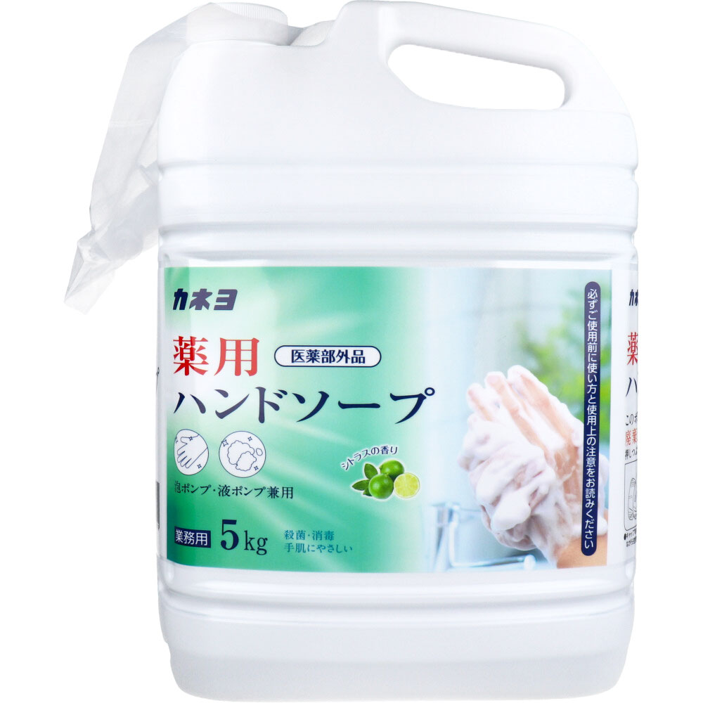 【業務用】 薬用ハンドソープ 泡ポンプ・液ポンプ兼用 シトラスの香り 5kg 【7月27日までの特価】