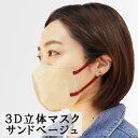 3D立体マスク スマートタイプ バイ