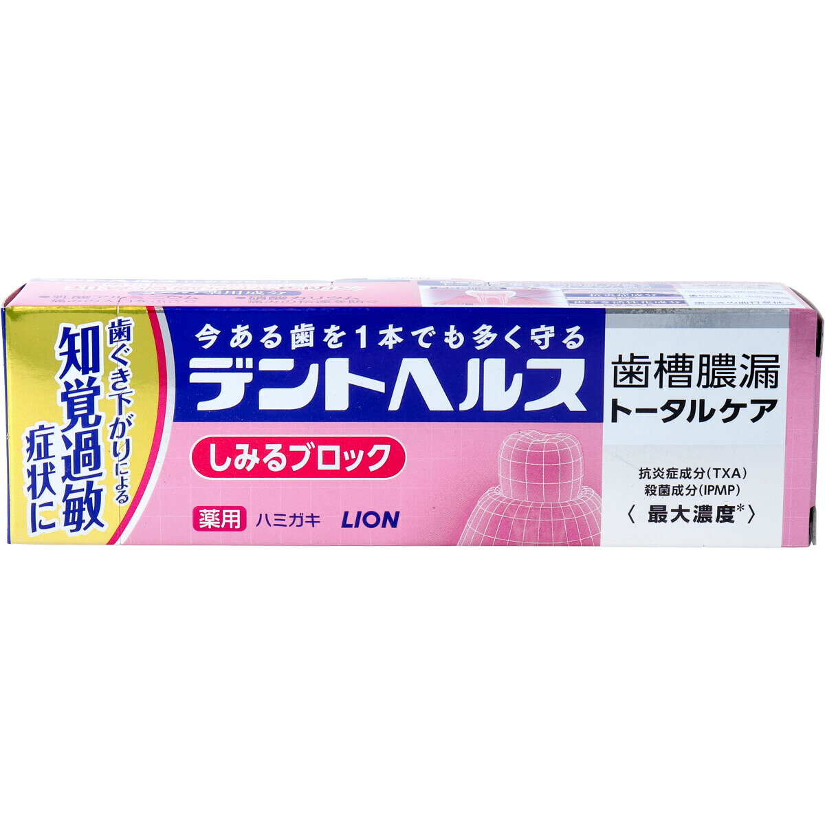 デントヘルス 薬用ハミガキ しみるブロック 85g 歯磨き粉