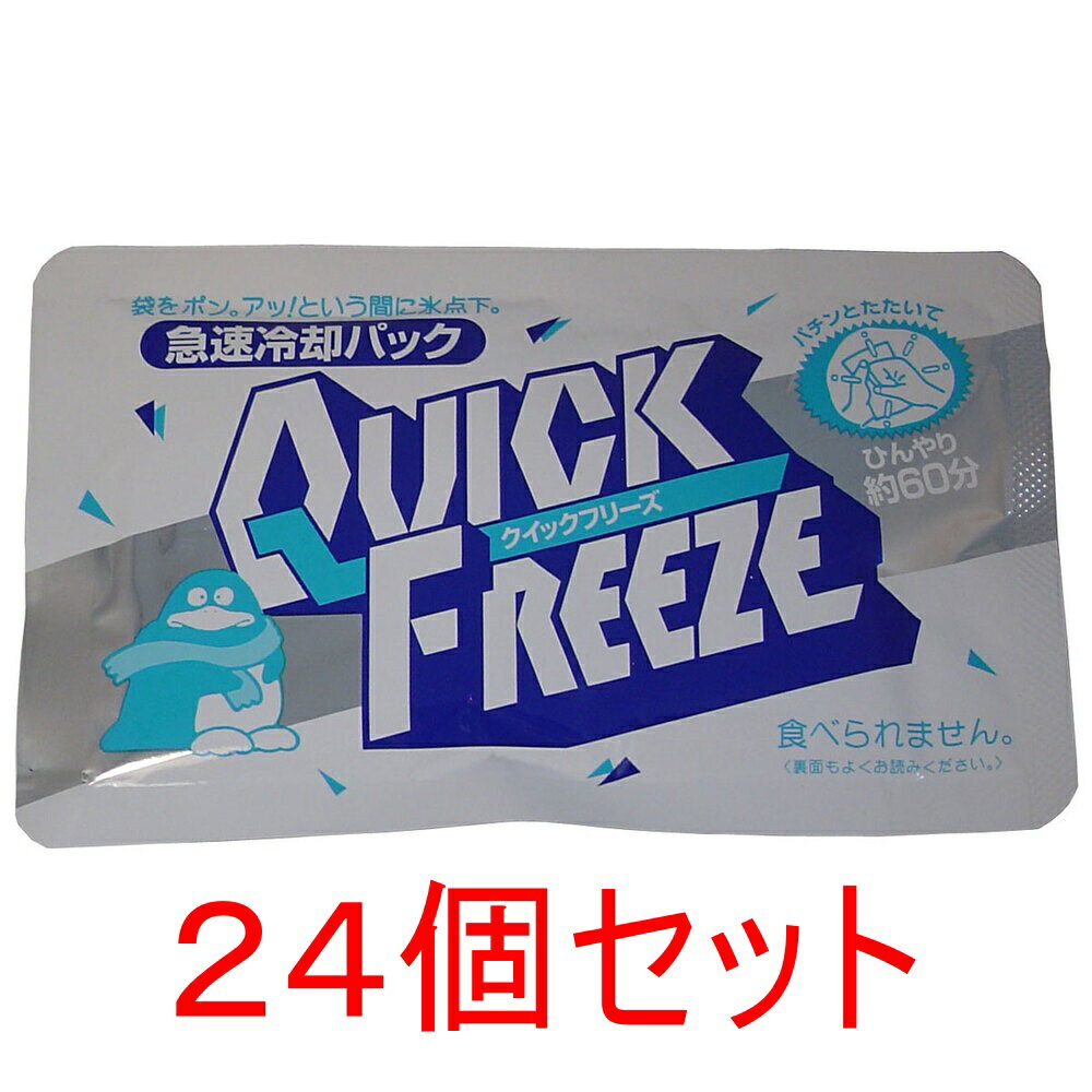 急速冷却パック クイックフリーズ レギュラー×24個セット