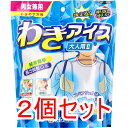 【エントリーでポイント5倍】 わきの下冷却 わきアイス 大人用2A 男女兼用 WIL2A-24 2個セット