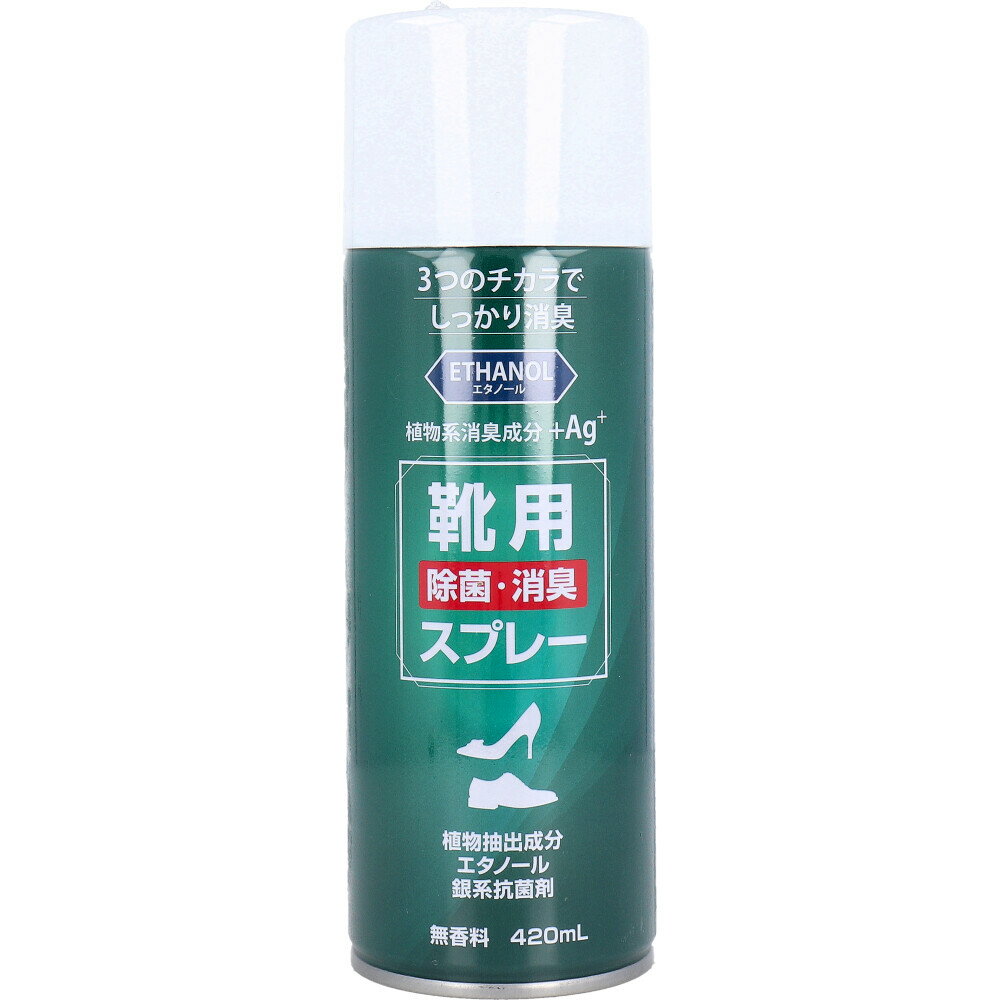 靴用 除菌消臭スプレー 無香料 420mL