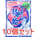 ※塩こん部長の梅飴 50g×10個セット