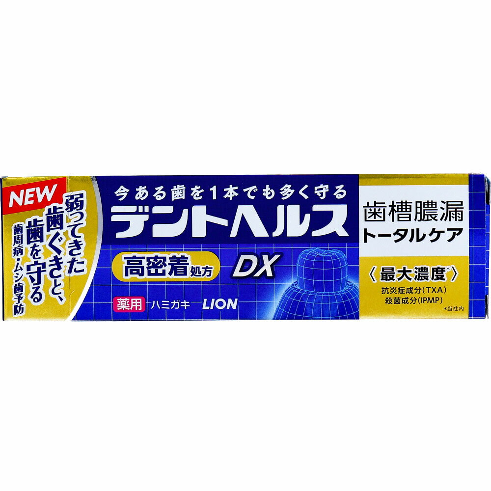 デントヘルス 薬用ハミガキDX 歯槽膿漏 トータルケア 85g 歯磨き粉