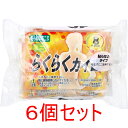 らくらくカイロ 貼らないタイプ ミニ 10個入×6個セット