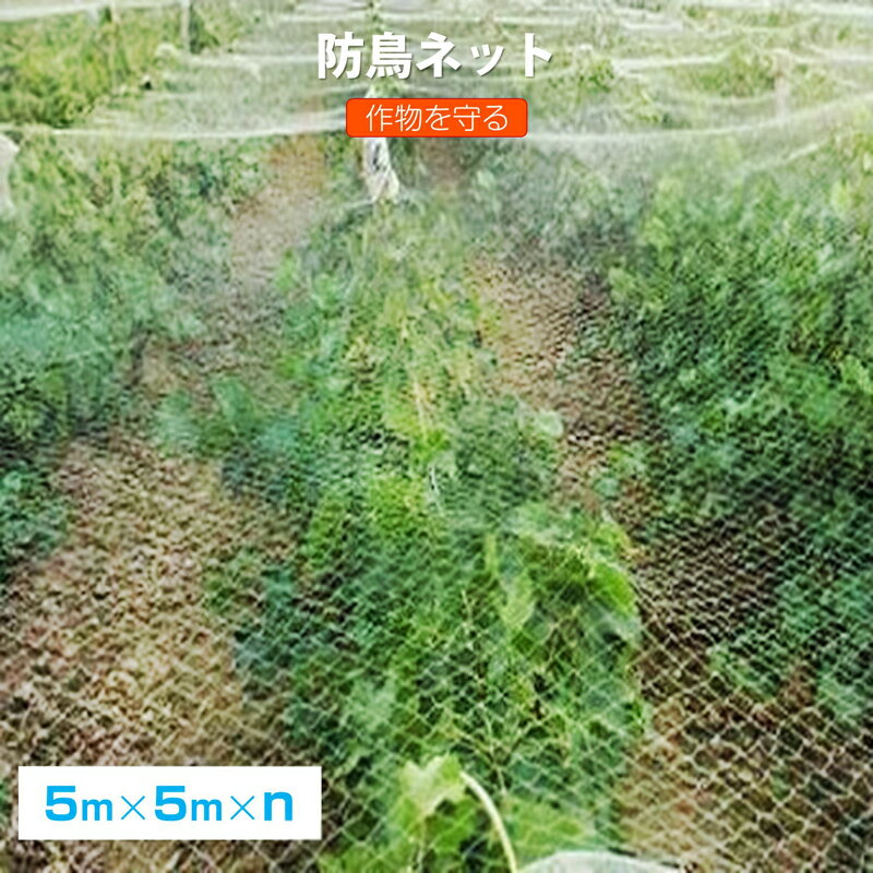 防鳥ネット 防鳥網 透明 幅5m 長さ5m 網目25mm 強力 ナイロン 鳥よけネット カラスよけ 害獣 防獣 田ん..