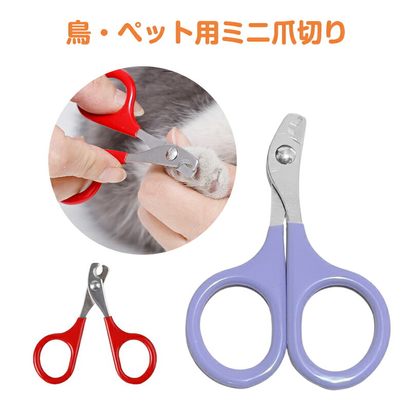 鳥 ペット用 爪切り ミニ 小型 ハサミ 猫 インコ 文鳥 犬 ウサギ 小動物 安全 切りすぎ防止 ステンレス..