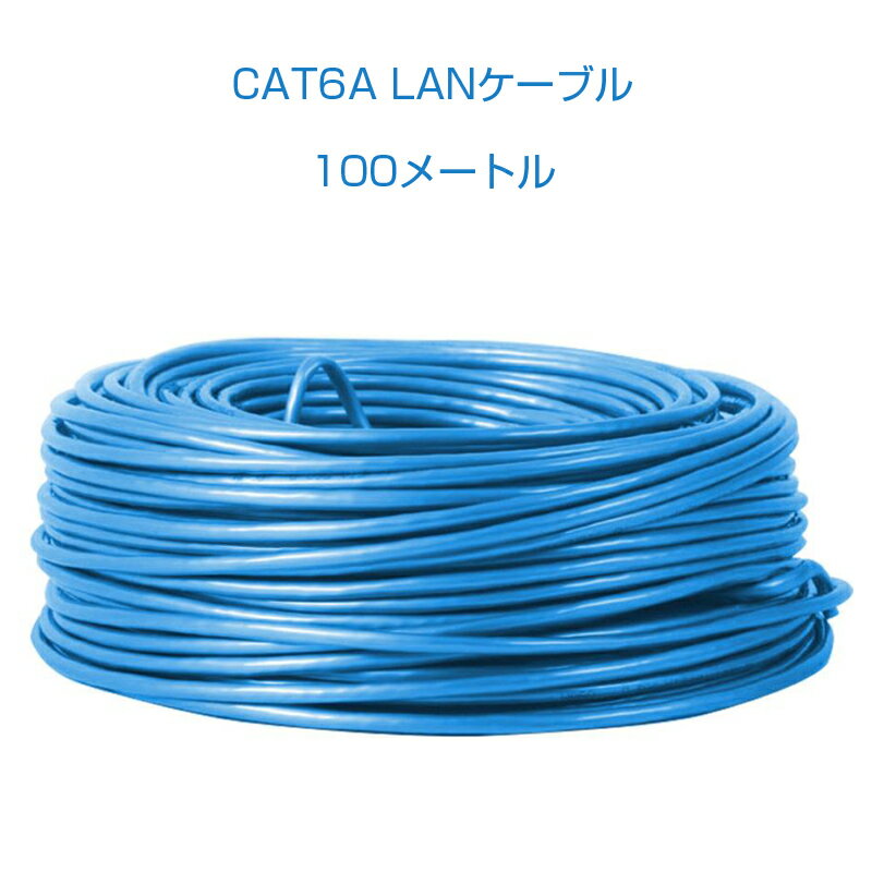 CAT 6A LANケーブル100m 100メートル 10ギ