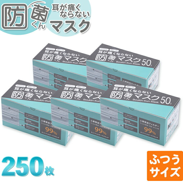 マスク 50枚入5箱セット(250枚) 収納 携帯用 ケース付き 防菌くん 安心の日本JAN付 99％カットフィルター 立体3層不織布 耳が痛くならない ウイルス対策 プリーツ 大人用 使い捨て 衛生マスク ノーズワイヤー 抗菌 PM2.5 衛生 飛沫 花粉症 長時間