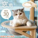 【数量限定!10%OFFクーポン利用で4,662円】猫 ハンモック 猫 窓用ハンモック 猫窓用ベッド 宇宙船 吸盤式 透明 猫窓用ハンモック キャットハンモック キャットマット 日光浴 組立簡単 吸盤式 休憩 キャットベッド オールシーズン