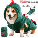 【数量限定!10%OFFクーポン利用で2,142円】ペット服 恐竜 辰年 犬 服 ペット 龍 被り物 洋服 年末年始 小型犬 中型犬 インスタ映え 変身 SNS 秋 二足 コスプレ 仮装 コスチューム 面白い 変身グッズ 写真撮影 コスプレパーティー 着脱便利 スナップボタン 可愛い ハロウィン