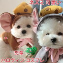 【数量限定!10%OFFクーポン利用で1,602円】ペット 服 コスチューム 犬 ネコ 洋服 ペットウェア コスプレ 二足歩行 衣装 パーカー 恐竜 ネズミ 可愛い ねずみ 耳付き 可愛いペット用パーカー