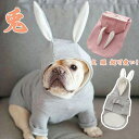 【数量限定!10%OFFクーポン利用で2,322円】犬 服 超可愛い! 小型犬 ペットウェア お散歩 ペット服 猫 服 犬用 ペット用品 犬 愛犬 ペット ペット用品 防寒 あったか 部屋着 寝間着 柔らかい かわいい 送料無料