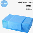 【数量限定!10%OFFクーポン利用で4,770円】使い捨てシーツ ペーパーシーツ ベッドシーツ 穴あり/穴付き ブルー ベッドシート 使い捨てシーツ 幅80×長さ180cm 100枚入 薄い 不織布 防水しない 美容院 エステ用 サロン用 ディスポ シーツ シート穴付き エステ用品 義務用